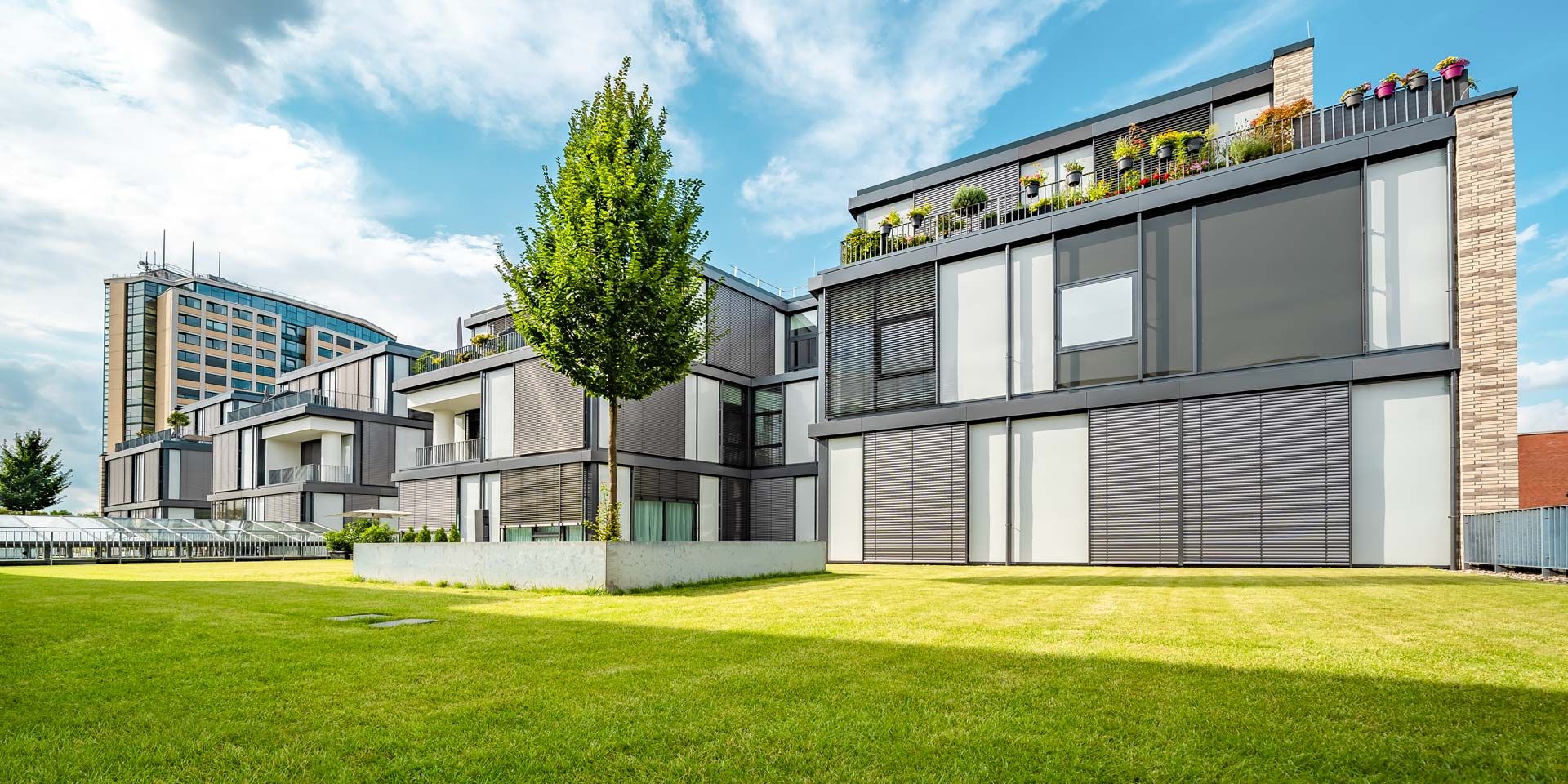 Foto: Gründach von DACH KÜHN