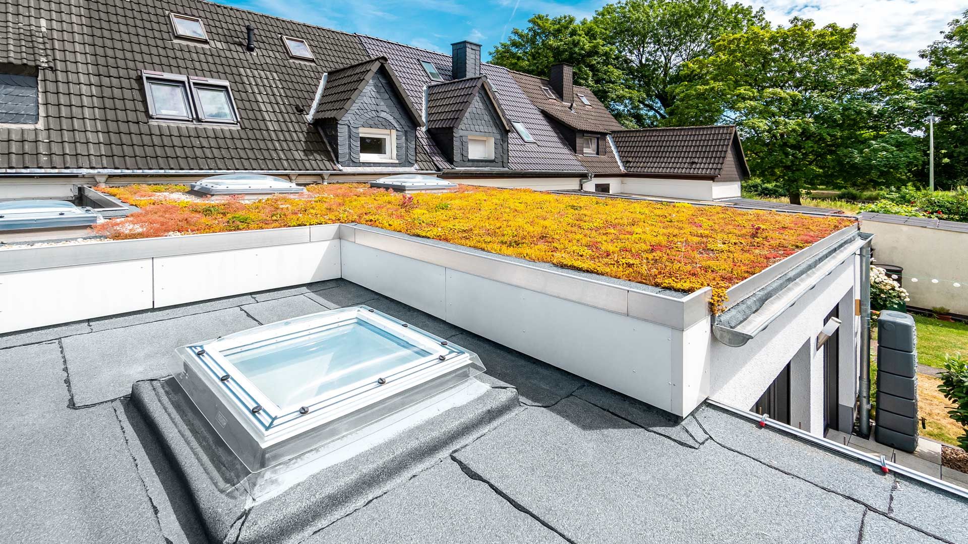 Foto: Dach Kuehn Beispiele: LUENEN Gründach Gründach auf Wintergarten für Privathaus